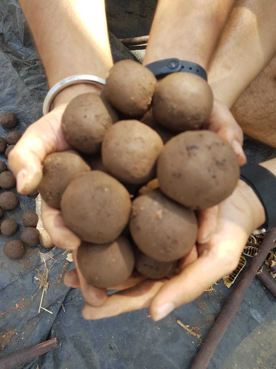 Seed and Climate Change